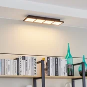 Lindby Raymie LED stropna svetilka dolžine 56,6 cm RGBW - Dnevna soba/jedilnica - Sodobni - bela, mat črna - Plastika