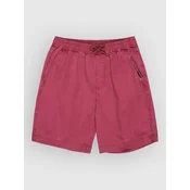 Quiksilver Taxer Kids Shorts burnt russet