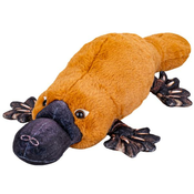 Plišasti kljunaš 50cm ležeči