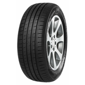 Minerva F209 ( 185/55 R15 82H )