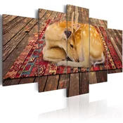 Slika - Domestication - 5 pieces 100x50