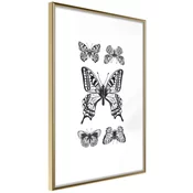 Poster - Butterfly Collection IV 30x45