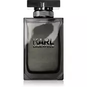 Lagerfeld Karl Lagerfeld for Him toaletna voda za moške 100 ml