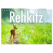Rehkitz - Flinke kleine Bambis. (Tischkalender 2026 DIN A5 quer), CALVENDO Monatskalender