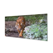 tulup.si Stenska plošča za kuhinjo Tiger woods 120x60 cm