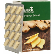 Ginger Extract Capsules-90 Capsules