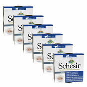 Schesir cat tuna in slaniki z rižem 6x85 g