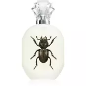 Captain Fawcett Parfemska voda Cpt. Fawcett Alessandro Manfredini - 50 ml