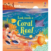 Look inside a Coral Reef