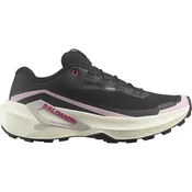 Salomon Genesis 2 GTX