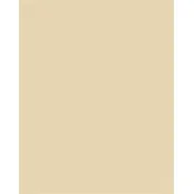 Ukrasna kartica, obostrana, A4, 220 g, 100 listova, FOLIA, boja antilopa 6122/4/10