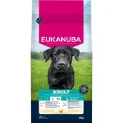 Eukanuba Premium Nutrition Adult Large & Giant Breed piletina - 2 x 15 kg