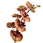 Mondex cvet umetni Viridis Storczyk 85cm bela 1 kos, (5000329494)