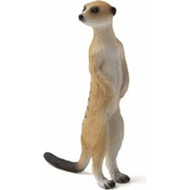 Moj Meerkat