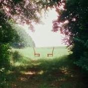 Ratboys - Singin To An Empty Chair (Gatefold Sleeve) (2 LP)
