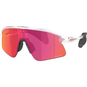 Oakley Stunt Devil OO 9517 10 39