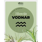 Horoskop rastlina: Vodnar (Zračna rastlina)