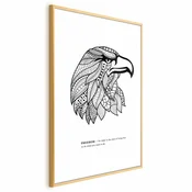 Plakat - Eagle of Freedom 21x30 Zlatni okvir
