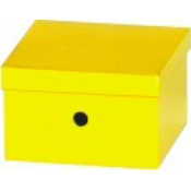 Kutija za odlaganje i arhiviranje UNI smartbox pro crna ( 05KA30B )