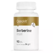 OSTROVIT Berberin - 90 tab