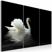 Slika - A lonely white swan 90x60