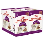 Royal Canin FHN Sensory Smell Gravy 24 x 85 g