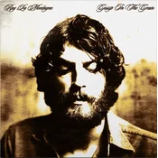 Ray Lamontagne - Gossip In The Grain (2 LP)