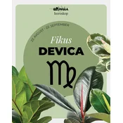 Horoskop rastlina: Devica (Fikus)