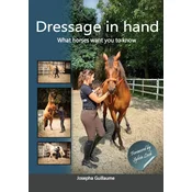 Dressage in hand