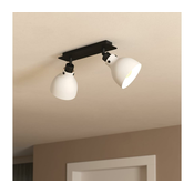 Eglo 43828 - Reflektor MATLOCK 2xE27/40W/230V