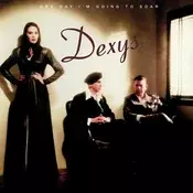 Dexys Midnight Runners - One Day Im Going To Soar (Reissue) (Anniversary Edition) (Gold Coloured) (2 LP)