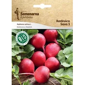 Semenarna seme Redkvica Saxa, bio