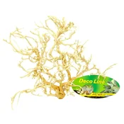 Lucky Reptile Desert Bushes Beljen približno 15-20 cm