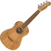 Fender Zuma Exotic WN Natural Spalted Maple Koncertni ukulele