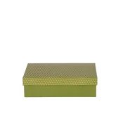 ARTEBENE ŠKATLA DARILNA 20x13x5cm
