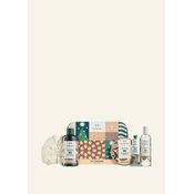 Nutty & Nourishing Shea Big Gift XM23