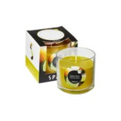 Ljubki dom Dišeča sveča v steklu SOUTHERN CITRUS 8,5 cm rumena