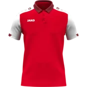 Dynamic Polo