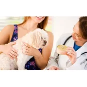 Trovet Plus Hepatic dog - 10 kg