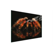 shumee STEKLENA DESKA ZA REZANJE 30x22 SPIDER