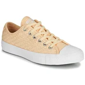 Converse CHUCK TAYLOR ALL STAR - OX pisana