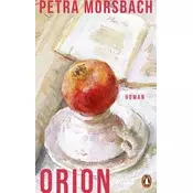 Orion