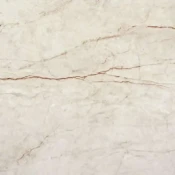 Rain Forest White Pulido 98x98