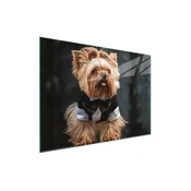 shumee STEKLENA DESKA ZA REZANJE 30x22 DOG