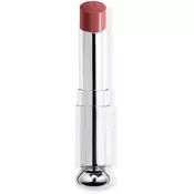 DIOR Dior Addict Refill sjajilo za usne zamjensko punjenje nijansa 786 D-Player 3.2 g