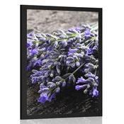 Plakat šopek iz sivke - 20x30 black