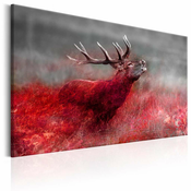 Slika - Bloody Field 90x60