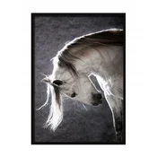 shumee SLIKA, PLAKAT V OKVIRJU 33x43 cm Konj P506