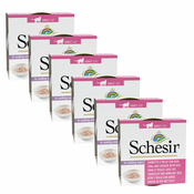 Schesir cat tuna in piščanec z rižem v obari 6x85 g