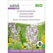 Sativa Bio zelišče Muškatni žajbelj